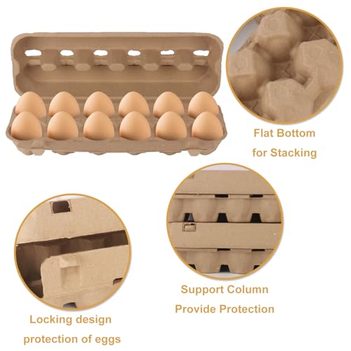 25 Pack Egg Cartons Bulk, Cardboard Egg Crates for Secure Eggs Storage, Egg Cartons Bulk for Fresh Eggs - Perfect for 12 Count (1 Dozen) Large Eggs - size: Dozen