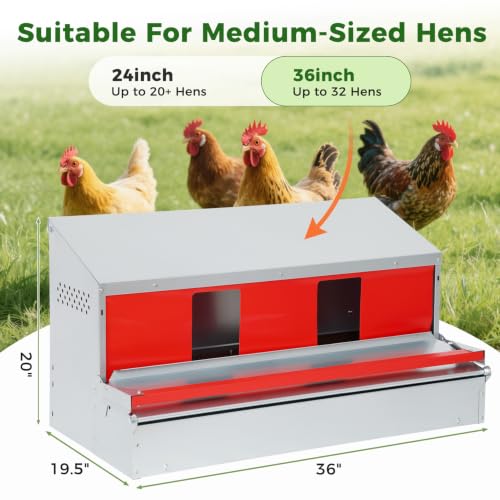 Redants Chicken Nesting Box, Metal Roll Away Nesting Boxes Chicken | Reversible Wall Mountable Chicken Laying Boxes, 36"×19.5"×20", Galvanized Steel, Waterproof, Up To 30+ Hens - size: 36.0"L x 19.0"W x 20.0"H