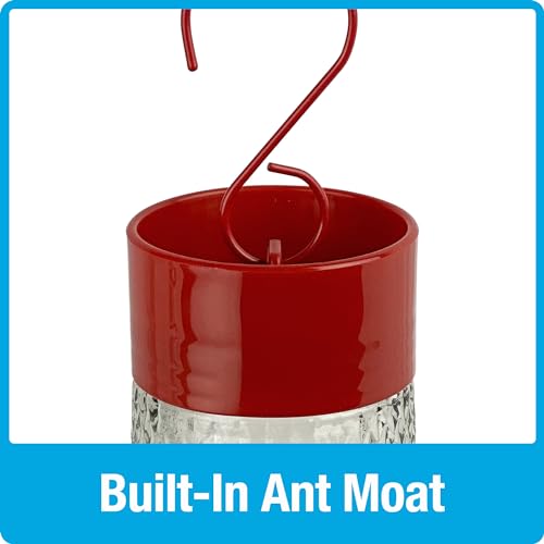 Nature's Way Hanging Glass Hummingbird Feeder for Outdoor Décor, 13 Ounce Capacity Nectar Feeder, Ant Moat, 4 Easy to Clean Flexible Ports, Red - style: 13 Ounce Capacity