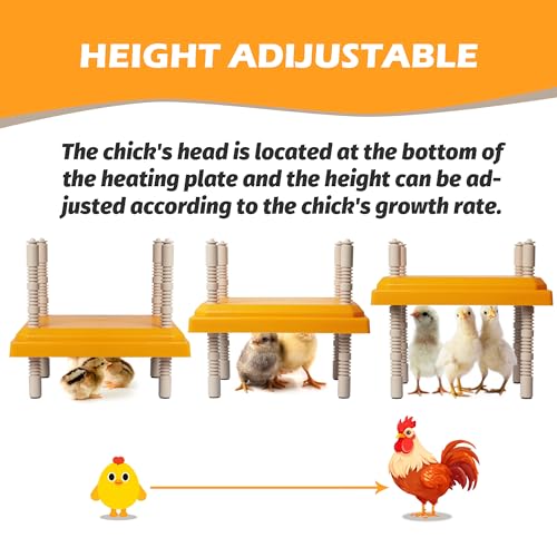 Brooder Plate for Chicks, 10" x 10" Chick Heating Plate Whit Adjustable Heights