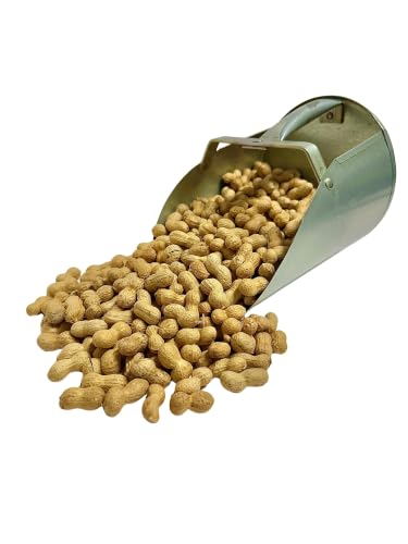 Desert Valley Premium Quality Spanish Peanuts in Shell – 8 Pounds – Naturally Smaller Shell Size – USA Grown Raw Wildlife Food for Squirrels, Birds, Deer & Other Outdoor Animals - size: 8 Pound (Pack of 1)