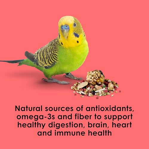 Kaytee Fiesta Parakeet Food,Nutritious and Fun Blend,Supports Skin,Feather,Digestion,Brain and Heart Health,2 pounds,(Pack of 2) - size: 2 Pound (Pack of 2)