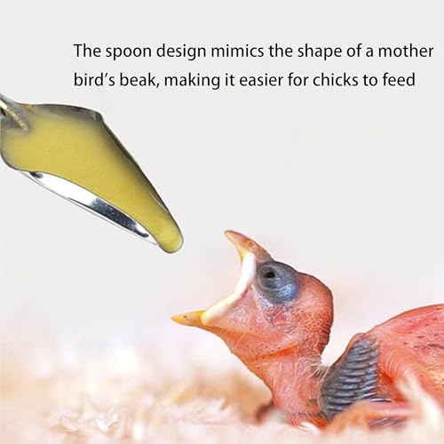 10pcs Parrot Feeding Tools Bird Parrot Feeding Tubes Food Syringe | Parrot Hand Feeding Syringe Set,with Spoon Tip&Tubes,for Feeding Milk,Liquid Food or Medication to Birds,Sick Birds - color: #1