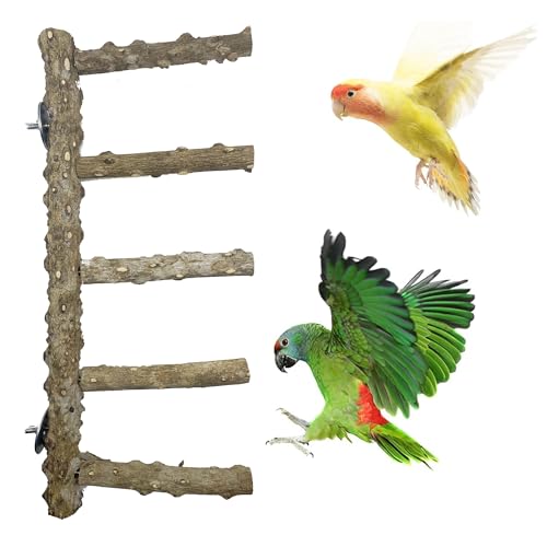3 PCS Nature Wood Bird Ladder Perch Nature Wood Stand Parrot Chew Toy Cage Hanging Pet Cage Bird Climbing Step Ladders for Small Animal