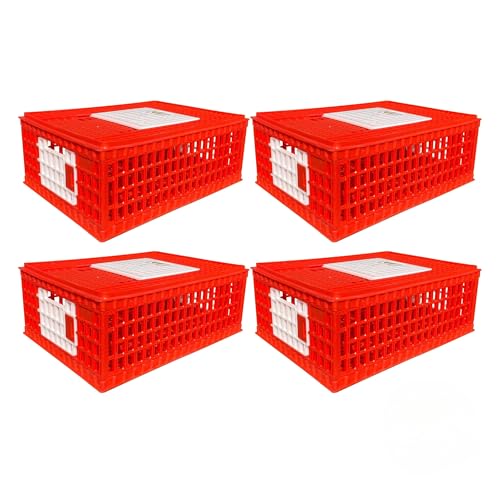 RentACoop Stackable Poultry Carrier Crate (Pack of 4) - size: Pack of 4, 29.0"L x 22.0"W x 12.0"H