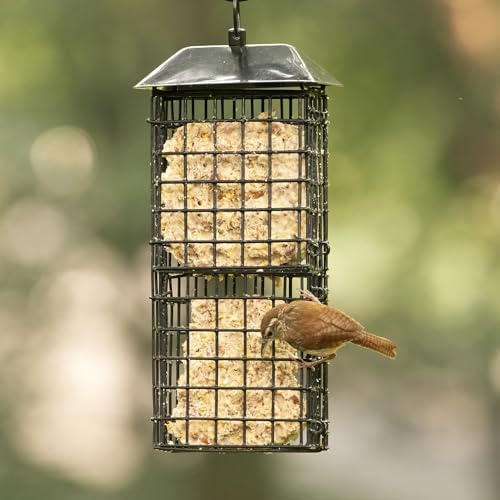 Wild Wings Metal Suet Cage Feeder for Outdoor Décor Wild Bird Feeders, 4 Suet Cakes Capacity, Hanging Suet Feeder, Black