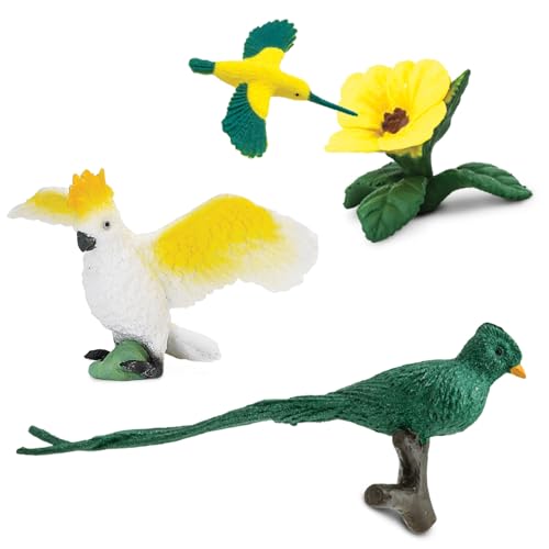 Safari Ltd. Exotic Birds TOOB - 10 Figurines: Parakeet, Quetzal, Macaw, Hummingbird, Toucan, Cockatoo, Flamingo, Snowy Owl, Parrot - Educational Toy Figures For Boys, Girls & Kids Ages 3+