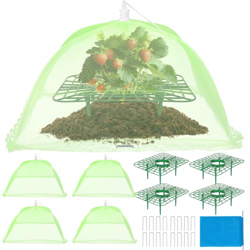 4 Sets Strawberry Plant Support with Mesh Plant Cover,Strawberry Growing Racks Sets with Iron Plant Nails and Storage Bag for Garden Strawberry Vegetables(Green Net - Square) - color: Green Net - Square