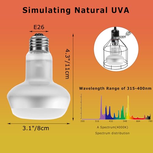 60W Intense Reptile Basking Spot Lamp, UVA Daylight Heat Bulb | Simulates Natural Sunrise & Sunset, Supports Thermoregulation for Bearded Dragons, Lizards, Snakes, Chicks & Amphibians - color: Intense Basking Spot, size: 60W Upgraded - 3.1"