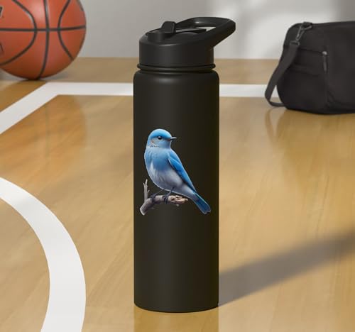 Bird Series. Mountain Bluebird. Stainless Steel Insulated Water Bottle - color: Black