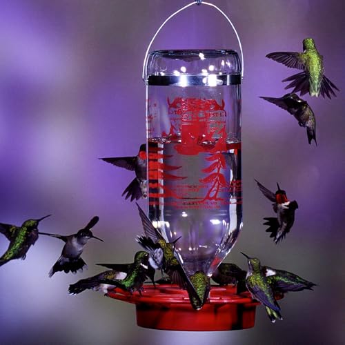 Birds Choice Hummingbird & Oriole Nectar | Pure & Healthy Sucrose Nectar for Birds | Easy Mix Concentrate | Natural Flower Sugar Alternative, No Additives | Safe for Feeders | 8 oz (4-Pack) | Sucrose-Based Easy Mix Concentrate, No Additives, Natural Flowe