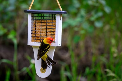Birds Choice Modern Farmhouse Suet Feeder with Tail Prop, Holds 1 Suet Cake | Hanging Suet Bird Feeder for Woodpeckers, Jays, Nuthatches | Rustic Backyard Decor | Black & White, 7.6"L x 3"W x 11.75"H | Holds 1 Suet Cake, Serves Woodpeckers, Jays and Nutha