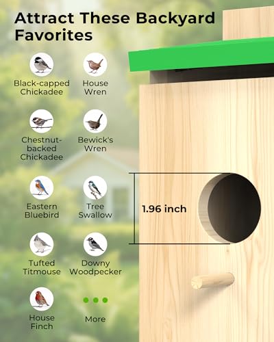 Bird House with Camera,Solar Smart Birdhouse with Camera Inside | Motion Detect & Night Vision,App Control,Wi-Fi Bird Watching for Backyard Nesting,Bird House for Outside with Camera,Green - color: Light Green