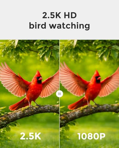 Devo Solar Smart Bird Feeder with Camera, WiFi Outdoor, AI ID, 2.5K HD | WiFi Bird Feeder Cam, Real-Time Alerts, Gift for Bird Lovers, Dad, Mom, Family