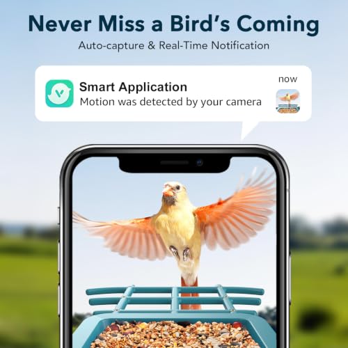PeckCam® Bird Feeder with Camera Solar Powered 2K Live Video Auto Capture | AI Bird Species Identification, Instant App Alert, IP65 Waterproof, Easy Setup, Backyard Bird-Watching, Gift for Bird Lovers - color: Light Blue
