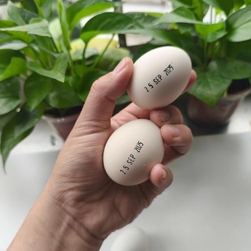 Date Stamp for Eggs and Office Use, Egg Date Stamp with Black and Red Ink Pads, Rotating Dates Stamper for Fresh Eggs, Chickens, Ducks, Turkeys, Geese, and Office Documents (Blue) - color: Blue
