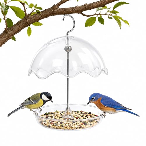 Hanging Platform Bird Feeder with Rain Shield Outdoor Feeder with Detachable Tray and 6.7” Clear Dome Rodent-Resistant Wild for Backyard, Garden, Balcony