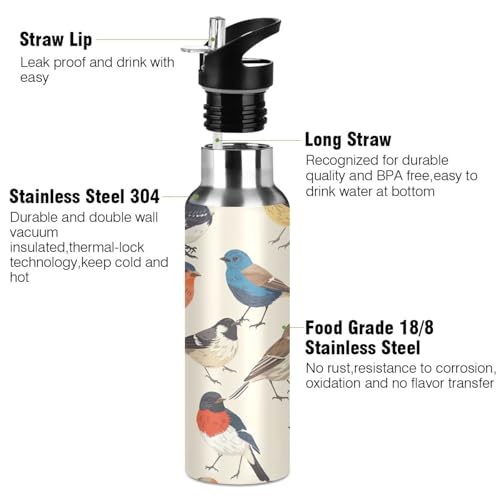 YETTASBIN Bird Water Bottle with Straw Lid 32oz Leakproof Vacuum Insulated Stainless Steel Sport Water Bottles for Gym, School, Travel
