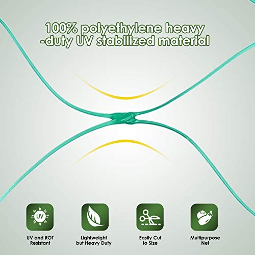 Ruolan Bird Netting for Garden Protect Vegetable Plants and Fruit Trees13X20Ft,Plastic Trellis Netting for Birds, Deer,Squirrels and Other Animals - size: 13X20