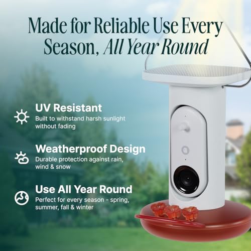 Birdbuddy Solar Hummingbird Feeder with Camera, AI Bird ID, 2K Video, Photo | 2K video quality, 5MP Photos, 1/2.7” sensor with excellent low-light performance, High Dynamic Range (HDR)