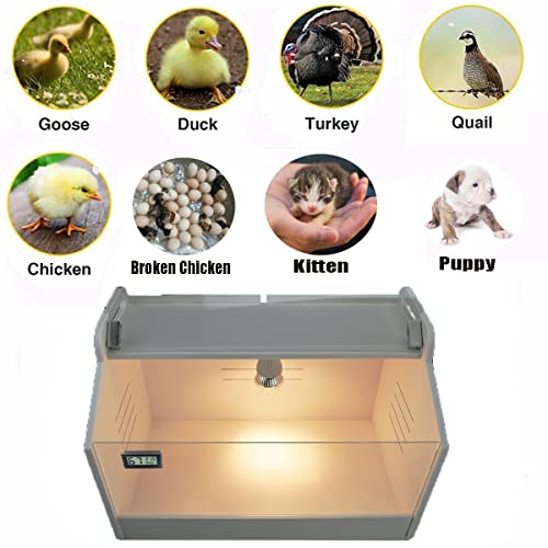 Intelligent Brooder Box 10-15 Newborns Chicks Quail Birds Egg Incubator | Chicken brooder,Brooder box for chicks,Chick brooder box,Bird house,Quail brooder,Chick feeder and waterer kit