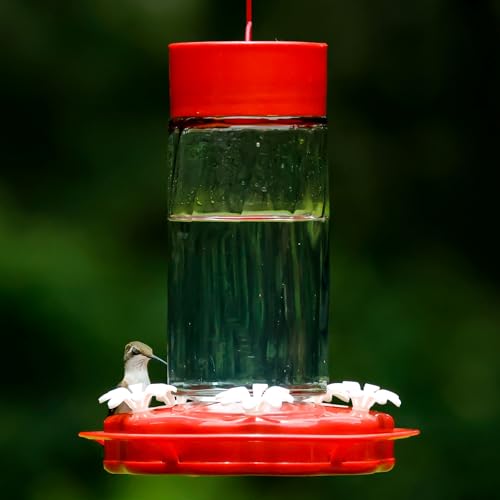 Nature's Way Hanging Glass Hummingbird Feeder for Outdoor Décor, 20 Ounce Capacity Nectar Feeder, Ant Moat, 5 Easy to Clean Flexible Ports, Red - style: 20 Ounce Capacity