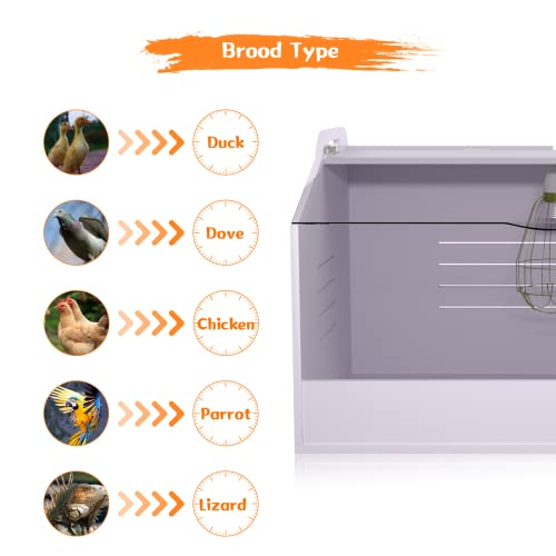 Brooder Box for Chicks | Chick Brooder Heat up to 15 Chicks with Heat Lamp Set Brooder Box，Suitable for Chicks/Duck/Parrot/Lizard （19" X 12" X 12"） - size: 19" X 12" X 12"