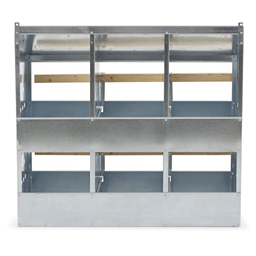 Brower 406B Galvanized Steel 6 Hole, 30 Bird Outdoor Poultry Nest Chicken Brooding Box with Hinged Folding Perches, Silver (2 Pack)