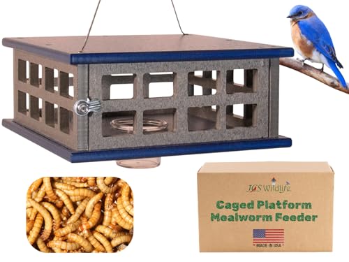 Recycled Poly Lumber Caged Platform Bluebird Mealworm Feeder (Gray/Blue) - color: Gray/Blue