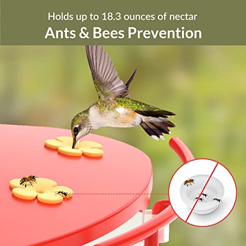 NETVUE Hummingbird Feeder Perch, Compatible with Birdfy, Attract Hummingbirds, 18.3 oz Capacity, 2 in 1 Bird Feeder, Ideal Gift for Hummingbird Lovers