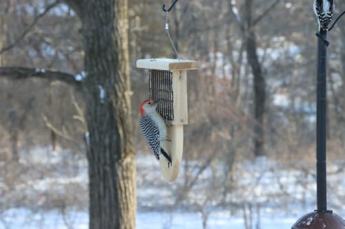 Cedar Single Cake Tail Prop Suet Bird Feeder with Hanging Cable