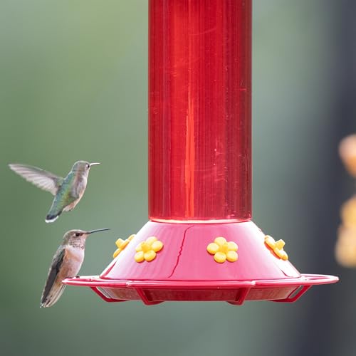 Perky-Pet 409 Hummer’s Favorite Red Plastic Hummingbird Feeder – 30 oz