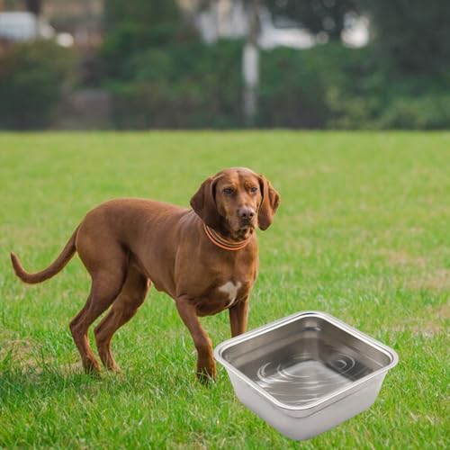Dog Bowl Stainless Steel Water and Feed Dish with Non-Slip Pads (0.85Gal-1 Set) - size: 0.85Gal-1 Set