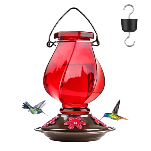 Glass Hummingbird Feeders for Outdoors Hanging, Ant Moat, Red, 22oz | 5 Feeding Ports, 360° Perch, Leak Proof, Easy Refill & Clean, Attractive Garden Decor, Birthday Gifts for Women Men Mom Dad - color: Ruby Red