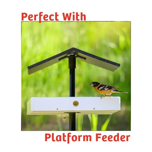 Birds Choice Cardinals Crave Bird Seed Wild Bird Food | Nutrient-Rich Bird Seed Blend | High-Energy with Safflower, Black Oil Sunflower Seeds & Peanuts | High Protein & Fat for Cardinals | 5 lbs | High-Energy Blend of Safflower, Black Oil Sunflower Seeds