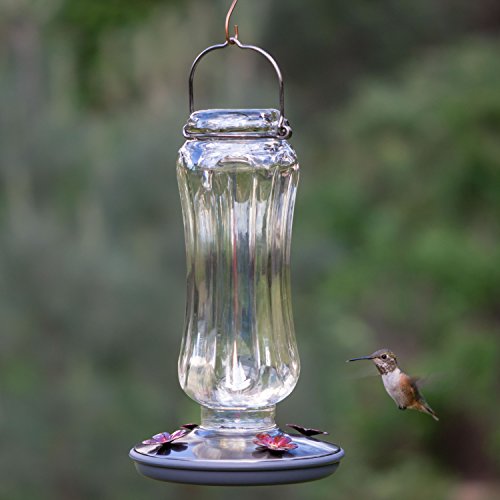 Perky-Pet Starglow Vintage Glass Hummingbird Feeder - 16 fl oz capacity - Humming Bird Feeder for Outdoors - 8132-2 - color: Irridescent, style: Vintage