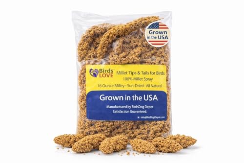 Birds LOVE® Millet Tips & Tails for Birds – Premium Spray Millet Treat, Grown in the USA – Natural & Healthy Bird Food for Parakeets, Cockatiels, Budgies, Lovebirds, Finches, Canaries & Parrots – 1 lb