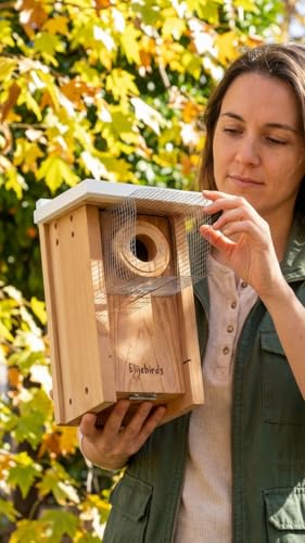 Premium Cedar Bluebird House for Outside - Wooden Bird Box with White Painted Roof & Noel Guard Predator Protection - Durable Birdhouses for Outdoors & Blue Bird Nesting