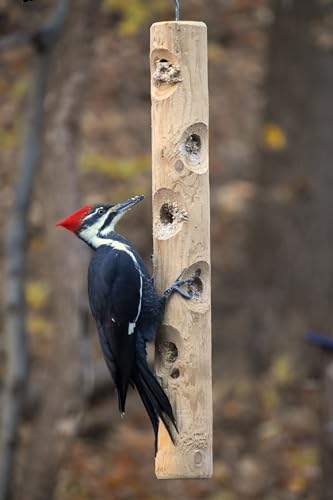 Large Cedar Suet Log Feeder | For Woodpeckers and Chickadees