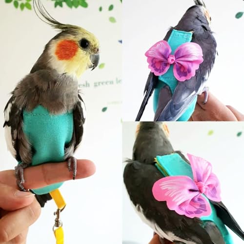 Escape-Proof Parrot Harness & Leash Set with Diaper - Adjustable Flight Suit with Bow & Safety Cord for Conures, African Grey, Parakeets, Doves (Pink-S) - size: Pink bow-S