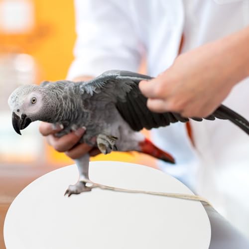 SUPVOX 100pcs Bird Cage Liner Mats Absorbent Parrot Cage Cushion Pads Round Fecal Tray Liners Safe and for Easy Cleaning