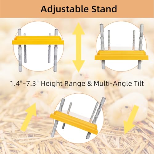 Chick Brooder Heating Plate Brooder Heat Plate for Chicks Ducklings with Feathers 10×10 Inch 15W Adjustable Height & Angle Easy Cleaning Chicks Heater