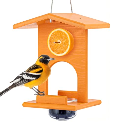 Gbekery Oriole Feeders for Outdoors Hanging,All-in-One Recycled Plastic Oriole Feeder with A Removable Glass Cup Jelly or Jam, Fruit, Nectar or Seed for Orioles,Orange,1 Pack - size: 1 Pack with one cup