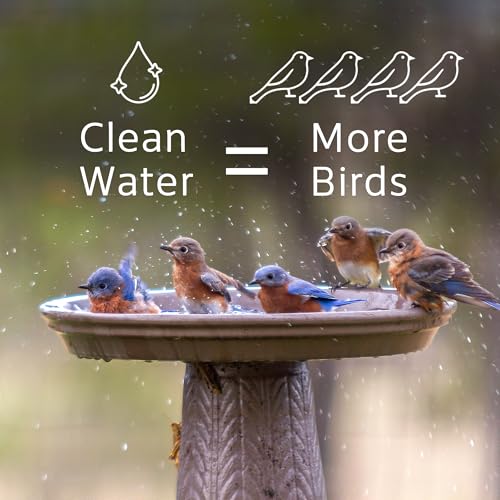Microbe-Lift Bird Bath Clear Two-in-One Water Cleaner – 4 Oz – Safe for Birds, Fish & Frogs – Cleans Outdoor Birdbaths & Fountains – Natural Formula, Prevents Stains & Cloudiness - size: Birdbath Clear 4-Ounce