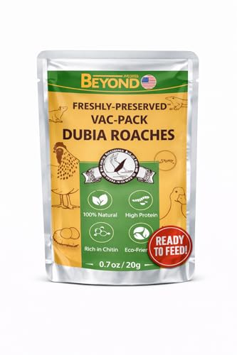 BeyondFeed™ USA Grown Freshly Preserved Vac-Pack Feeder Insects – Ready-to-Feed Protein Treats for Reptiles, Birds, Fish & Aquatic Turtles (Fresh Dubia Roaches-3Pack Bundle 60g/2.12 oz)
