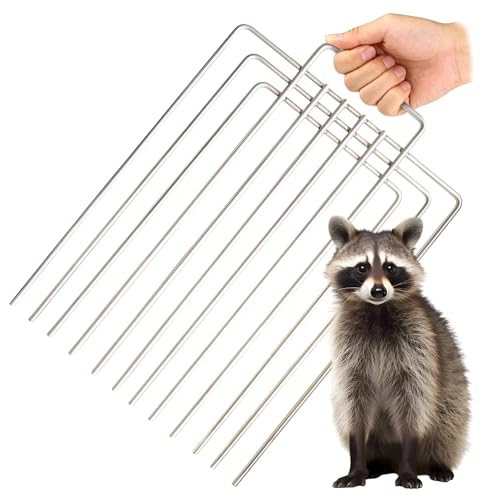 Trap Cage Divider Stainless Steel Divider for 10" and 12" Wide