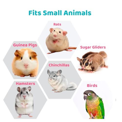 Rat Toys for Pet Rats, Enrichment Toy Cage Cccessories, Bird Foraging Toys Interactive Intelligence Growth Puzzle Games, Treat Dispensing Slow Feeder for Rats Cage, Bird Foraging Toy for Parakeet