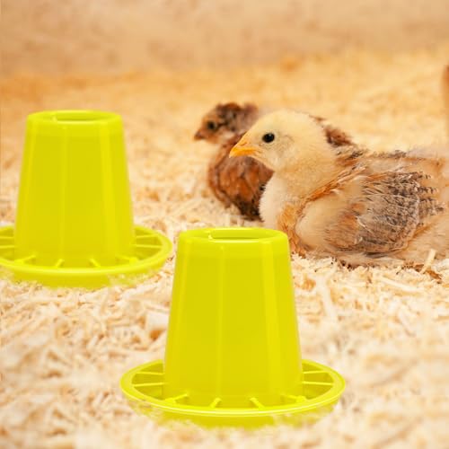 Funnymoom 12 Pack Small Chicken Feeder Bulk Chick Feeder Chick Feeding for Poultry Ducks Goose Quail Pigeons