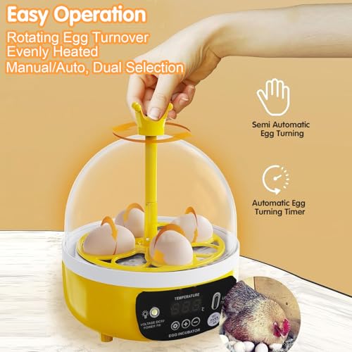 Tissting 4-Egg Mini Incubator with Transparent Lid | 7W Power & Humidity Control | Clear Viewing Window | Auto Egg Turning | for Chicken, Duck, Quail, Pigeon(Auto Turning) - color: 4 Eggs Auto Turning