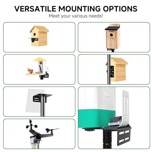 Smart Bird Feeder Pole Stand with Proof Squirrel Baffle 79" - Dia 1 Inch Bird House Pole Mount for Camera Birdfeeder, Double Hooks, Install 2 Bird Houses, Feeding Station Outdoors Heavy Duty - size: 79IN